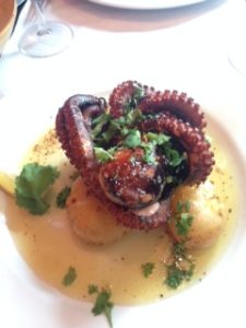 Oculus-Octopus